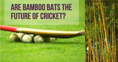 bamboo bats in cricket