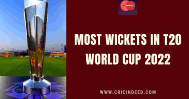 most wickets in 2022 t20 world cup
