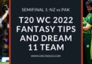 nz vs pak dream11 team prediction t20 world cup 2022