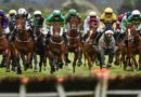 How to Pick Your Winning Horse