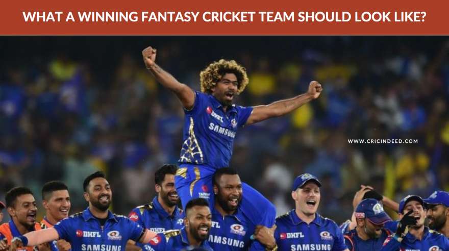 what a fantasy cricket team should look like